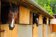 free Cilfynydd stable construction quotes